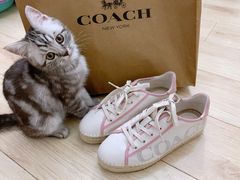 -COACH蔻驰(赛特奥特莱斯店)