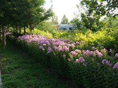 -意大利农场度假村