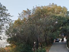 -岳麓山风景名胜区