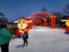 -沈阳奥体冰雪嘉年华