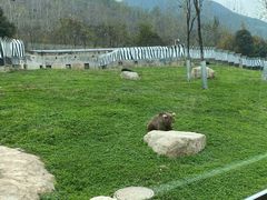 -西安秦岭野生动物园