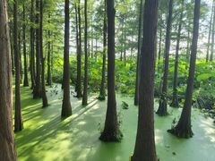 -云龙湖旅游景区