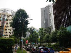 -新加坡乌节希尔顿酒店 (SG Clean)