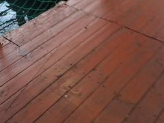 -蓝湾碧波·老字号·疍家非遗海上餐厅