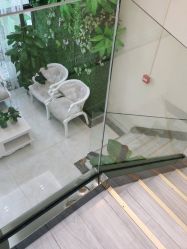 -苗医生草本科技祛痘