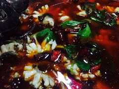 -重庆乌鱼庄·龙滋鲜(青羊大道店)