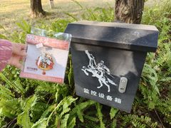 -叶挺将军纪念园