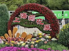 -上海共青森林公园