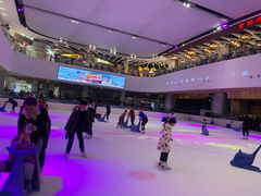-TheRink大零溜冰场(IFS国金中心店)