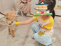 -第五极儿童乐园