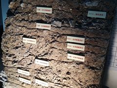 -南越王博物院(王宫展区)