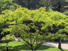 -丽泽山庄·生态怀柔菜·虹鳟鱼(红螺寺店)