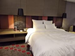 -南京禄口机场雅高铂尔曼大酒店