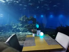 -海棠湾洲际-涛·海底餐厅·美人鱼·自助餐·海底隧道