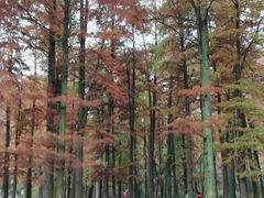 -四明湖