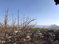 -丽江束河古镇-石莲古寺