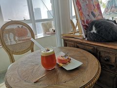 -共舞时光猫咖·狗咖(新街口店)