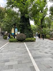 -思南公馆酒店·宴会厅