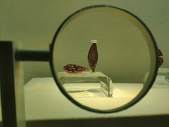 -杭州工艺美术博物馆