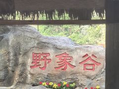 -野象谷景区