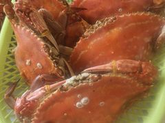 -皇牛鲜生·牛爱牛鲜牛肉自选火锅(晋吉北路店)