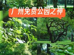 -晓港公园