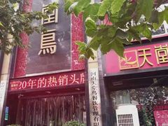 门面-天堂鸟水煮鱼·品质川菜(凤凰路店)