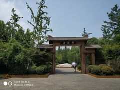 -习家池