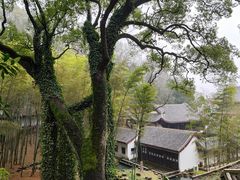 -岳麓山风景名胜区