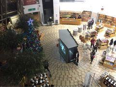 泰迪熊博物馆-济州岛泰迪熊博物馆