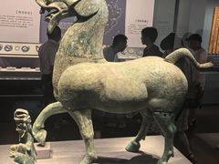 -广西壮族自治区博物馆