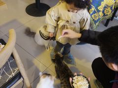 -平行世界·猫咖(首经贸店)