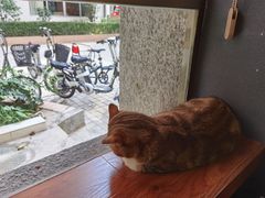 -咖法森林·咖啡  酒吧(天河店)