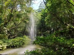 -绿光森林餐厅