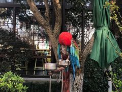 -西湖外事游船(花港观鱼码头)