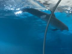 -波塞冬旅游度假区