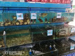 水产区-范饭椰林川湘味海鲜·椰子鸡(三亚湾椰梦长廊店)