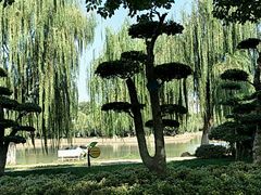 -堤角公园