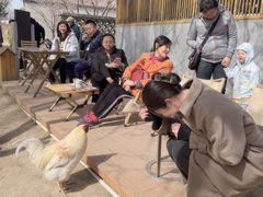 -春风习习
