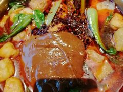 -野人部落(沈阳一店)