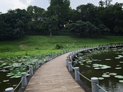 -国恩寺