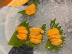 -月龍吟(朝龙汇店)