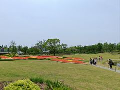 -上海植物园-4号门售票处