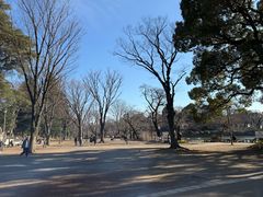 -井之头恩赐公园