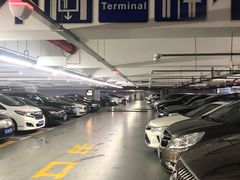 -上海浦东国际机场T1航站楼-P1停车场
