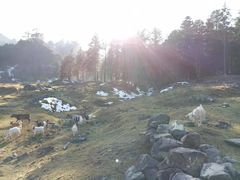 -硗碛藏寨·神木垒景区