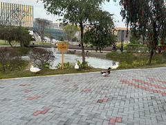 -深圳大学(丽湖校区)