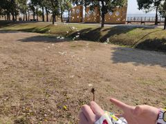 -莲花岛景区