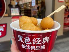 -黑色经典臭豆腐·湖南特产(太平街口店)