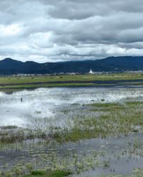 -纳帕海依拉草原